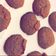صورة من manar.، شاركها بعد تجربة وصفة كوكيز الكاكاو❤️🍪🍪🍪🍪🍪🍪🍪❤️