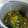 El cooksnap de Tere cuando hizo Garbanzos con espinacas en olla gm h.