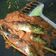 Cooksnap dari Ernia Wulandari untuk resep Pindang Sambal Tomat