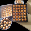 Cooksnap dari Sekar Kusumaningrum untuk resep Nastar Ekonomis Lumer di mulut