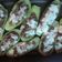 El cooksnap de Selenna Huaylla cuando hizo Zapallito italiano relleno.