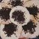 Cooksnap dari Erma Yulia untuk resep Pancake teflon mudah