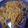 Cooksnap dari Dwi Muslimawati untuk resep Spaghetti Bolognese With Chicken Breast