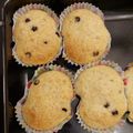 El cooksnap de Mariana Grajales cuando hizo Muffins de banana 🍌 con chispas de chocolate 🍫.