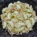 Cooksnap dari Bunda TitanQue untuk resep Reuceuh Timun Toge
