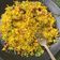 Seema Raghav का कुकस्नैप जब उन्होंने लेमन राइस (lemon rice recipe in Hindi) बनाया था।