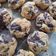 Cooksnap dari Awalia untuk resep Chocolate Cookie Simple