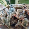 Cooksnap dari JOYFUL Sirait untuk resep Kiripik bayam / goreng bayam