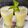 Manisha Malvi Angaitkar's cooksnap of when they made Refreshing Mosambi juice.
