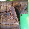 whinbee's cooksnap of when they made Fudgy Brownies.