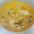 Cooksnap dari Leni Amalia untuk resep Opor ayam simple