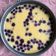 szilvi.lugosi@gmail.com Cooksnap-ja, amikor elkészítette a(z) Áfonyás sajttorta recept (Blueberry Cheesecake) receptet.