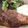 Mommyluvs2cook's cooksnap of when they made Savory garlic Marinated Steak.