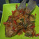 Cooksnap dari Novi warawiri untuk resep Gurameh Kecap Pedas