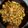 Cooksnap dari Bunga untuk resep Chicken Garlic Soy Sauce