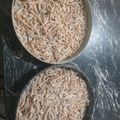El cooksnap de Meli R. cuando hizo Fideos caseros sin huevos.