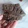Cooksnap dari Rahmi Fitriyani untuk resep Bolu ketan hitam simple