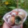 Cooksnap dari Yuni tri ratnadewi untuk resep Bola ubi kopong pelangi