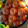 Sudha Agrawal का कुकस्नैप जब उन्होंने ठेकुआ(thekua recipe in hindi) बनाया था।