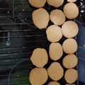 El cooksnap de Leticia Lopez Herrero cuando hizo Galletas de dulce de leche.
