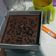 Cooksnap dari Viena untuk resep Brownies Kukus