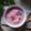 Cooksnap dari Silva Malexhi untuk resep Es Sirsak Campur