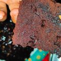 Cooksnap dari Zhenta Green Green Angel untuk resep Eggless brownies fudgy moist