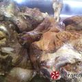 Cooksnap από elenixania στη συνταγή Κατσικάκι στη λαδόκολλα