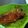 Cooksnap dari agita rizkiana untuk resep Gurame bakar teflon sambal dabu dabu #Selasabisa