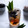 Cooksnap dari Silva Malexhi untuk resep Es cincau teh pandan