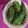 Harsha Ben Sureliya's cooksnap of when they made ભરેલામરચાં bharela Marcha recipe in Gujarati).