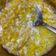 Cooksnap dari Bonita Fillania untuk resep 115. Sup Jagung Telur