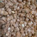 Cooksnap dari asih wijayanti untuk resep KACANG DISCO Khas Bali