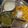Lavika Gupta का कुकस्नैप जब उन्होंने सरसों का साग मक्के की रोटी(Sarso ka sag makke di roti recipe in Hindi) बनाया था।