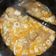Cooksnap dari Salis Saja untuk resep Bakso seafood korea home made by fitashaa