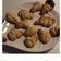 El cooksnap de Jose Chavez cuando hizo Galletas con chips de chocolate.