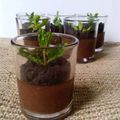 Cooksnap dari dewie novie untuk resep POTTED MINT CHOCOLATE PUDDING