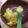 Cooksnap Azlina Jefri semasa beliau membuat Nasi goreng butter versi baby.