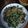 Cooksnap dari Prima Pawestri untuk resep Urap kangkung basah 👌