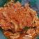 Cooksnap dari Reina's Mom untuk resep Usus Ayam Bumbu Rujak Endesss