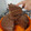 El cooksnap de Eiimy Larrosa cuando hizo Torta de chocolate húmeda.