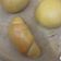 Cooksnap dari Dina untuk resep Butter roll