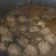Cooksnap dari Farah untuk resep MPASI 12+ Semur bola daging