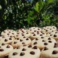 El cooksnap de Karu D'Auvergne cuando hizo Masa fácil y económica para galletitas. Además son Riquísimas🍪.