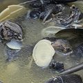 ccdagu 的 竹筍雞湯 cooksnap
