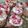 Cooksnap de Sandra Marinalva quando cozinhou Bolo Recheado de Morango, Chantilly e Suspiro.