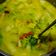 Cooksnap dari Esti Purnamasari untuk resep Tumis kembang kates (kembang pepaya)