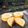 Cooksnap dari Mochi1012 untuk resep Spready Cheese Cake