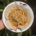 Cooksnap dari Mama Nasya untuk resep Lumpia Basah Rebung