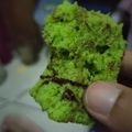 Cooksnap dari Tyarra Dewi untuk resep 835. Bolu Kukus Santan Pandan 2 Telur Aja!